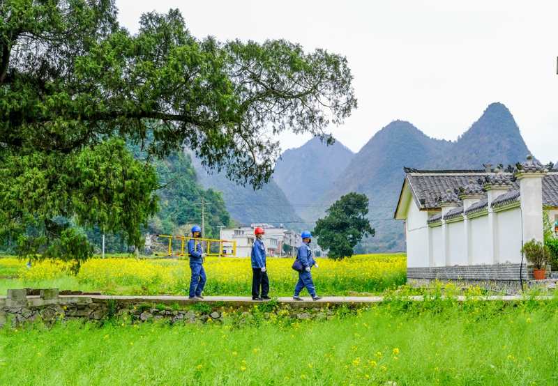 平塘供電局：“網(wǎng)格化”服務(wù)，護(hù)航“菜籃子”