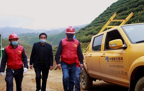 平塘供電局：“加減法”同構(gòu)服務(wù)，護(hù)航“貴州春茶第一壺”