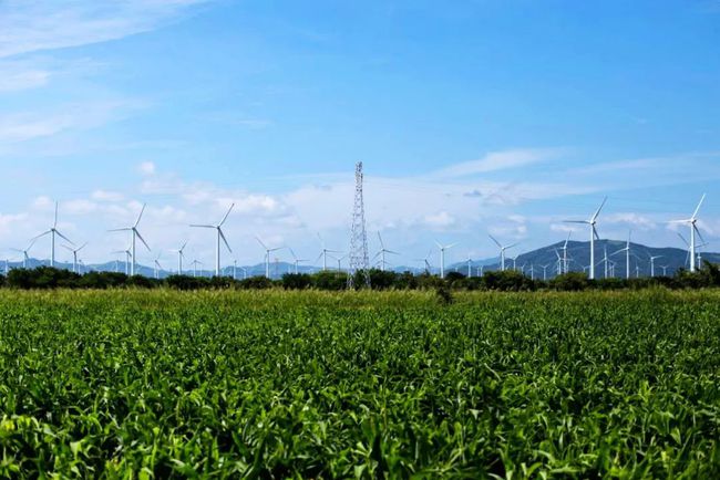收購(gòu)墨西哥818MW光伏電站，國(guó)家電投境外光伏電站裝機(jī)超6GW