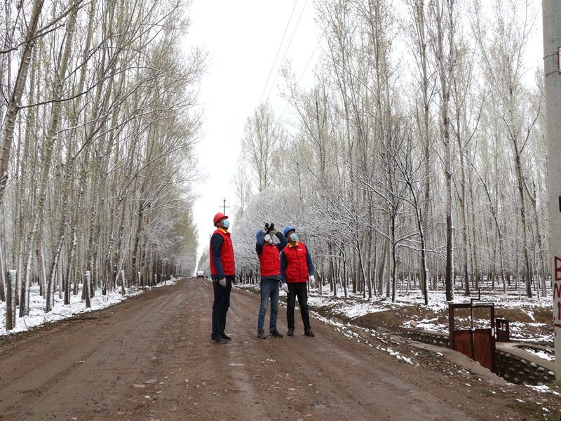 國(guó)網(wǎng)伊犁伊河供電公司四月飛雪，電力員工巡視線路保供電