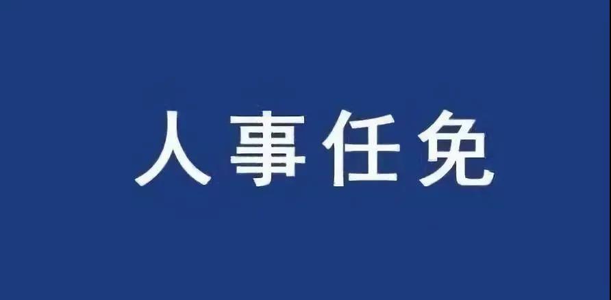 重磅！張智剛?cè)螄译娋W(wǎng)總經(jīng)理、黨組副書記，韓君出任三峽集團(tuán)總經(jīng)理