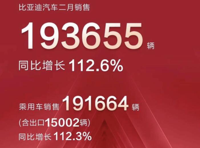 2月新能源車企成績單出爐，比亞迪一騎絕塵
