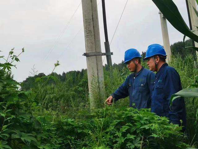 國網(wǎng)長春供電公司積極應對極端天氣，確保線路設備穩(wěn)定運行