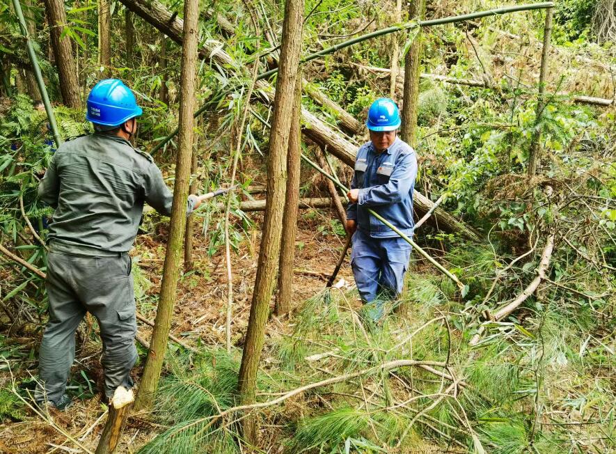 南方電網(wǎng)荔波供電局線路憂患如“猛獸”，通道清通要爭先