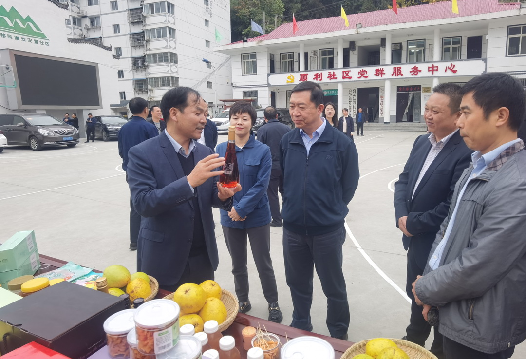 中核集團(tuán)總經(jīng)理、黨組副書記顧軍赴陜西白河、旬陽(yáng)調(diào)研鄉(xiāng)村振興工作