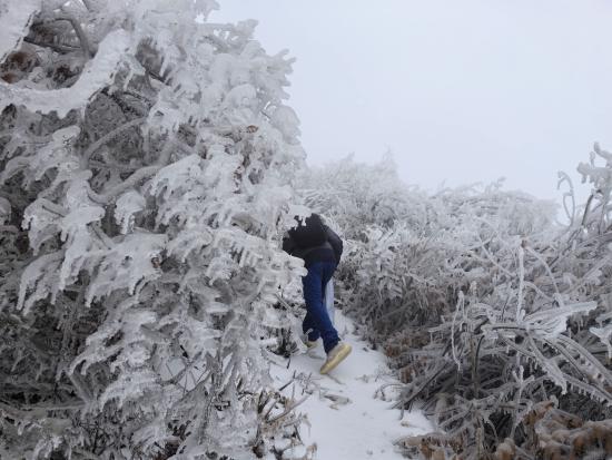 【新春走基層】迎雪而上攻堅行，奮戰(zhàn)不息護(hù)光明