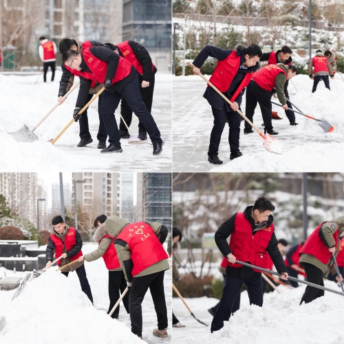 白雪更映“志愿紅”，山東電建公司志愿者掃雪除冰在行動